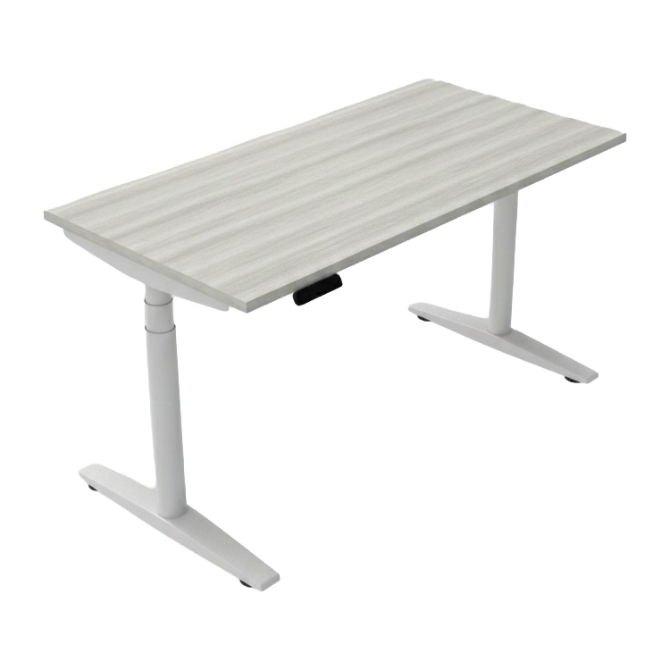 Flowt 自動升降桌